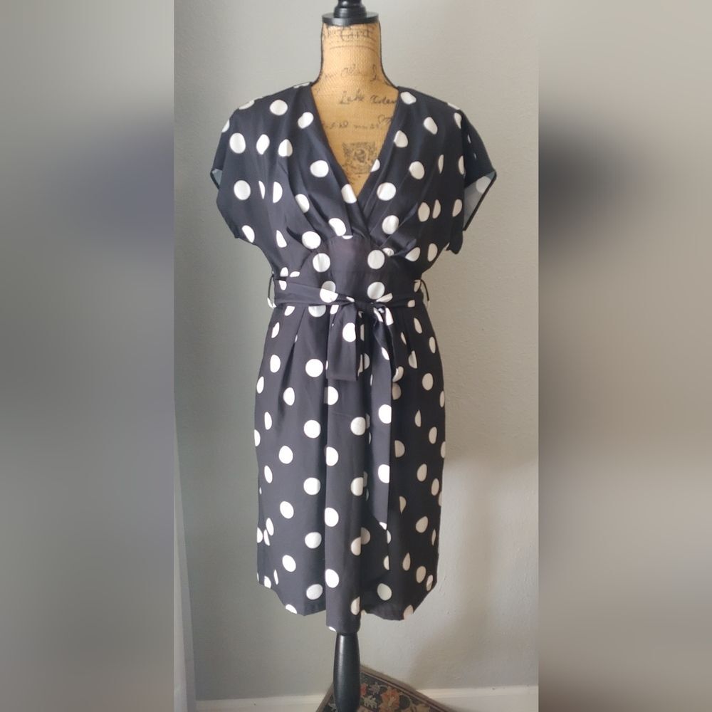 Zapelle Polka Dot V-Neck Midi Dress Sz L / 14